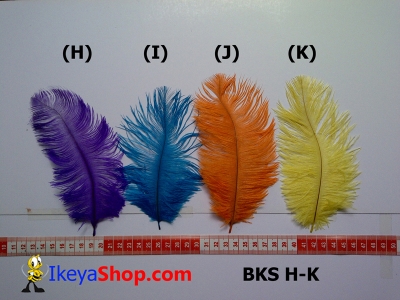 bulu kasuari kecil BKS H K   feather  large2